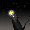 星と黒猫
